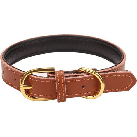 Collier Pour Chien - Cuir Rembourré - Fermoir En Alliage - 5 Positions Réglables - Pour Chiens Petits Et Moyens Et Chats - Taille S M L (1/5)