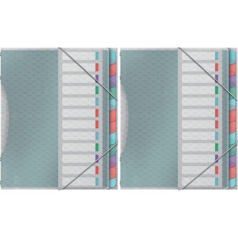 Trieur à 12 Compartiments pour Documents A4, Pochettes en Plastique Transparent, Maison/Bureau, Motif Texturé, Gamme , Multicolore, 626256 (Lot de 2) (1/5)