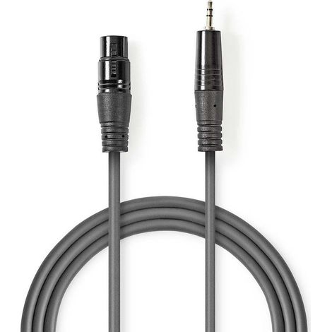 1 câble audio XLR 3 broches mâle vers mini-jack 3,5 mm mâle, symétrique, plaqué nickel, PVC gris foncé, pour micros et instruments (1/3)