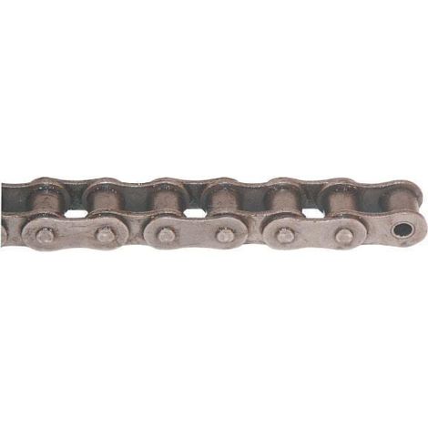 Chaîne à rouleaux REXNORD R31SH