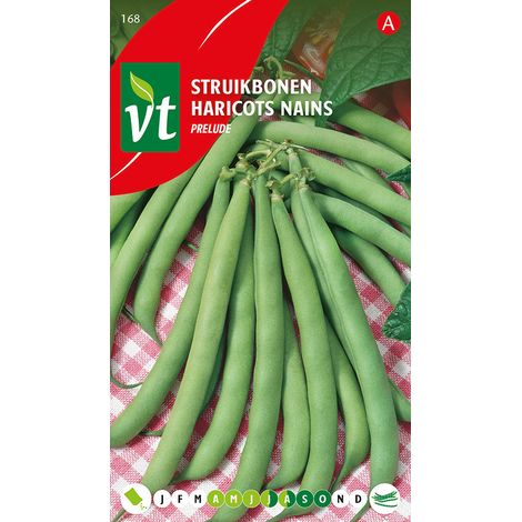 Haricots Nains Prelude - Ca. 50 gr (Livraison Gratuite) (1/2)