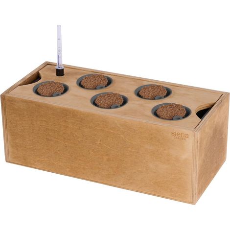 Hydroponikgefäß aus Holz Größe M (1/2)