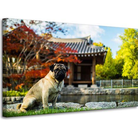 Lienzo impreso con la imagen de un perro carlino (100x60 cm).