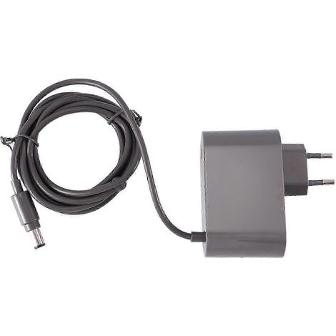 Chargeur pour aspirateur Dyson DC30, DC31, DC34, DC35, DC44, DC45, DC56, DC57 - Adaptateur secteur prise UE (1/5)