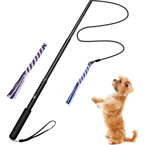 Jouet rétractable pour chien, jeu interactif, corde à mâcher pour l'entraînement en extérieur (1/5)