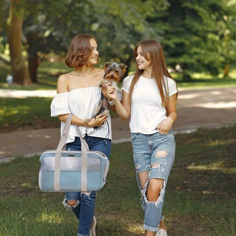 Sac de Transport Souple pour Petits Chiens et Chats, Sac Pliable et Respirant avec Laisse de Sécurité, Sac de Transport Léger pour Voyage Extérieur Camper (Bleu Ciel) (1/4)