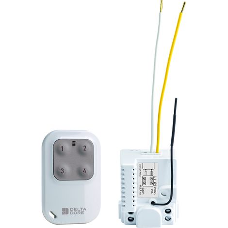 DELTA DORE - 6351396 Tyxia 720 Fernbedienung und Impulsempfänger-Set - Delta Dore