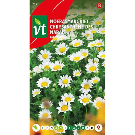 Chrysanthème Des Marais Pure White - Ca. 0,5 gr (Livraison (1/2)