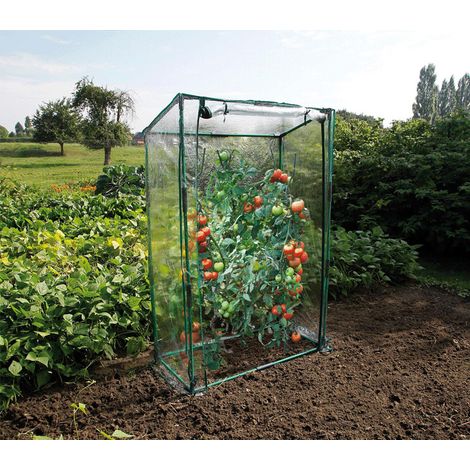 Direct Filet – Serre en verre transparente 150 cm de hauteur – Armature métallique époxy – Protection contre intempéries – Surface 0.50m² (1/2)