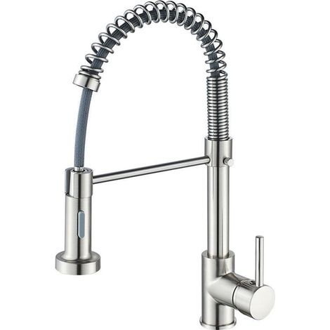 Robinet de cuisine argenté, mitigeur à ressort rétractable, poignée unique de style européen, eau chaude et froide, deux modes de jet disponibles. (1/5)