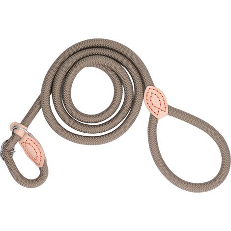 Laisse de chien anti-traction Khaki L 5,9 pi x 0,5 po, en nylon avec poignée confortable, idéale pour chiens petits et moyens, soudaine rupture sécurisée. (1/5)