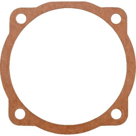 Guarnizione 0,5 mm Maschio MASCHIO M29100109R