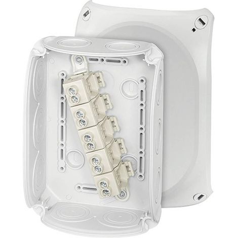 Hensel DK 1010 G caja de derivación gris claro IP66