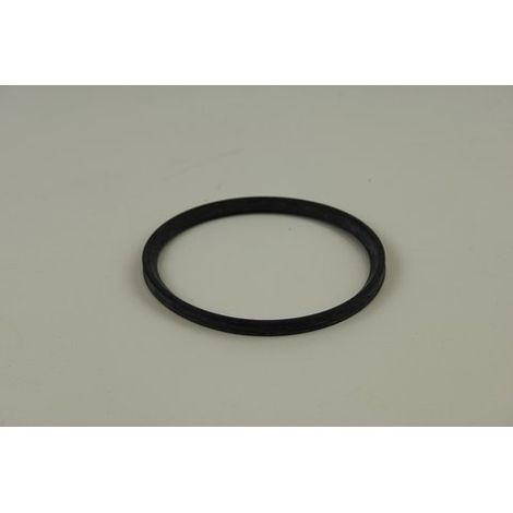 BOSCH Lippendichtung DN 110, 8738901691 (1/2)