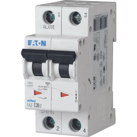 Interruttore automatico 2P C 2A 15kA AC FAZ C2/2 278748