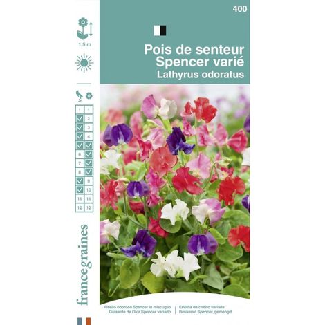 France Graines - Pois Senteur Spencer Mix