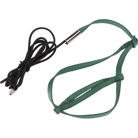 Harnais pour oiseau, laisse élastique réglable pour l'entraînement au vol des perroquets, corde de traction pour perruches calopsittes et inséparables, vert M (1/5)