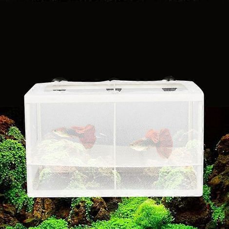 Grande écloserie cloisonnée, petite boîte d'isolement pour poissons, boîte d'élevage pour poissons tropicaux (1/4)