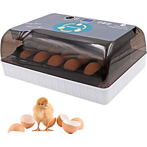 12 Oeuf Incubateur Automatique Numérique Entièrement Hatcher Poulet Volaille Hatcher avec Contrôle Automatique de la Température EU PLUG (1/5)