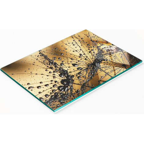 Tabla de cortar de cristal para cocina con diseño decorativo de diente de león, 80x52 cm. (1/5)