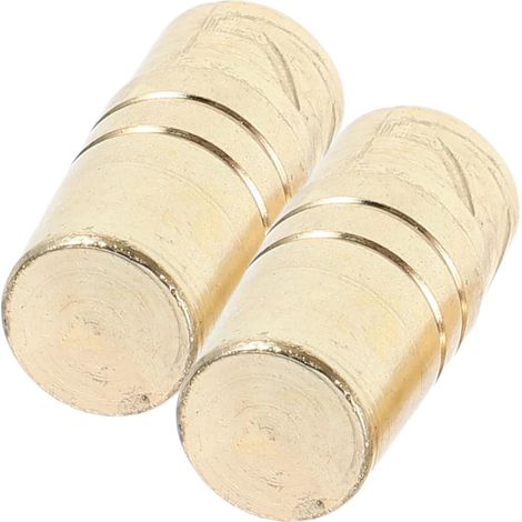 2 Pièces Capuchons Supérieurs en Métal pour Parapluie, Embouts de Canne Or 12 Mm, Pièces de Réparation Faciles à Installer pour Parapluie Extérieur Quotidien (1/5)