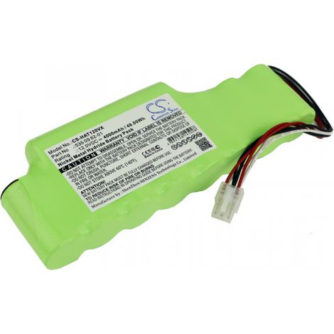 Batteria Cameron Sino 48 Volt 4000mAh (1/3)