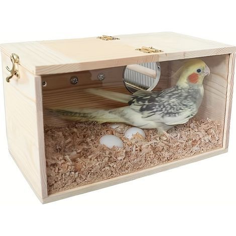 Nid de reproduction en bois pour perroquets — Cavité de nidification en bois avec fenêtre transparente, nichoir pour perroquets (1/5)