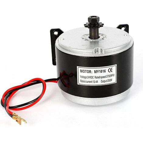 Moteur électrique à balais à aimant permanent 250 W DC 24 V pour scooter électrique Go-Kart