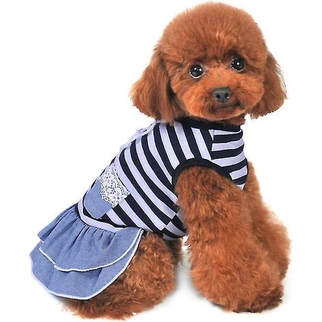 Nouvelle robe spéciale pour animaux de compagnie (1 pièce) (1/3)