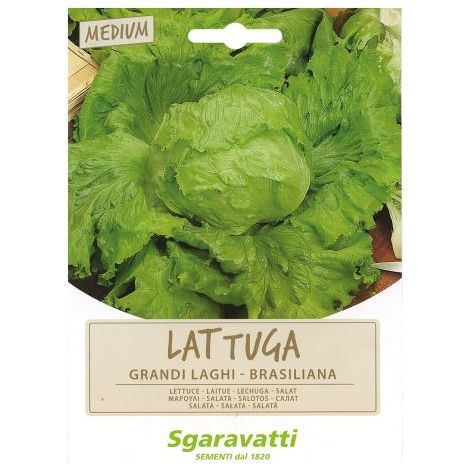 SEMI PER ORTAGGI E VEGETALI lattuga grandi laghi - brasiliana 20 PZ