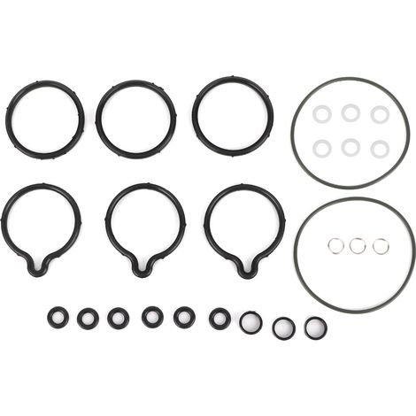 Kit de réparation pour pompe à carburant haute pression Alfa Romeo 0445010002 (1/5)