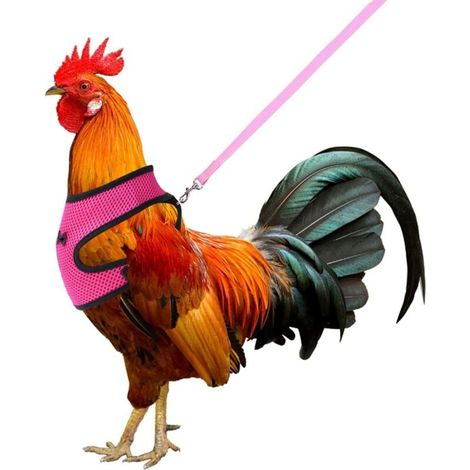 Hühnergeschirr mit verstellbarer und atmungsaktiver Leine für Ente, Gans, Huhn, Größe M (rosa) (1/4)
