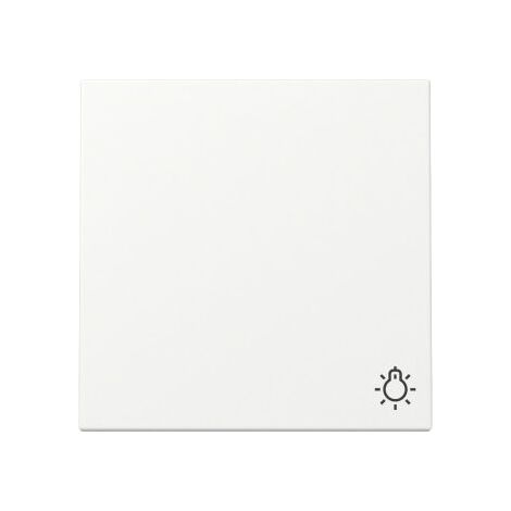 Gira Wippe 328527 Symb.Licht Sys.55 rws m