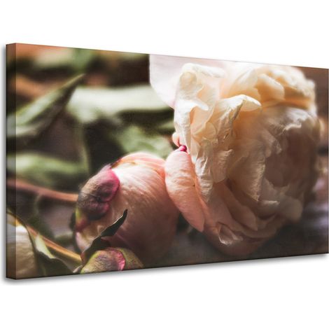 Leinwanddruck Botanik Blumen Pfingstrose 100x60 cm