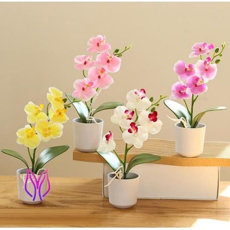 Orchidées artificielles - Non spécifié - Lot de 2 - Rose - Soie de haute qualité - Décoration intérieure (1/3)