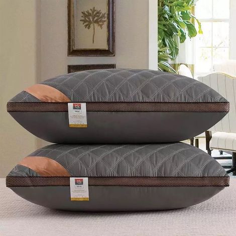 Oreiller Standard - 48x74 cm - Garnissage En Duvet De Canard Blanc - Tissu Coton - Pour Dormeurs Sur Le Dos Le Côté Ou Le Ventre - 1 Pièce (1/5)