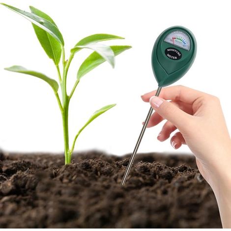 Medidor de humedad para plantas，Medidor de humedad del suelo，Sensor de humedad para jardín，granja y plantas de interior y exterior (1/5)