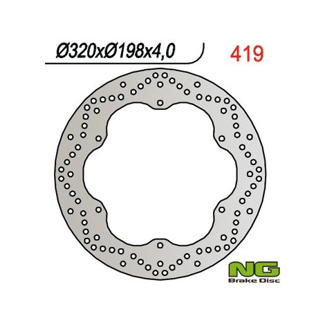 Disco freno anteriore NG per Yamaha XJ 900 Diversion 95-03 (320x198x4) (6x8,25mm)