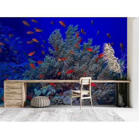 Papier peint nature - banc de poissons tropicaux autour des coraux - 150 x 250 cm (1/2)