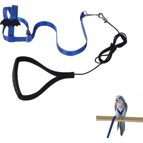 Verstellbares Papageiengeschirr Vogelgeschirr Vogelleine 1 Stück blau XS für Vögel wie Papageien, Kakadus und Aras (1/5)