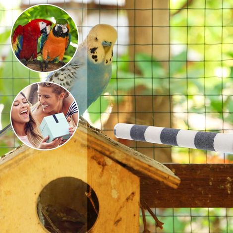 Wooden Parrot Perch Support Stand, Durable Standing Play Toy for Small Pet Parrots