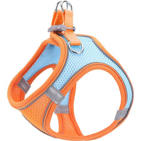 Filiyano-Ensemble harnais et laisse pour chat pour les promenades, harnais gilet souple et réglable, complet (1/2)