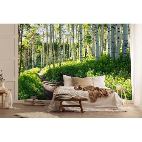 Vlies Fototapete Wald Landschaft 150x105 cm, Tapeten, für Wohn und Schlafzimmer, Vliestapete Wandtapete Tapete 3D Effekt- inkl. Kleister - Birken Natur Birkenwald grün, WallArena (1/4)