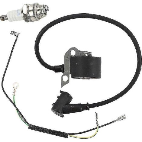 Module d'allumage haute tension avec bobine d'allumage pour Stihl 009 010 S2024123016200 (1/5)
