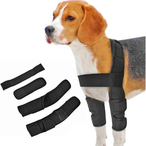 Filiyano – support pour pattes de – Genouillères pour pattes avant de chien, support pour pattes de chien avec fermeture Velcro, publicité (1/2)