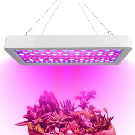 Lampe de croissance intelligente haute puissance AC100-277V pour plantes succulentes en serre - Lampe de croissance LED (Norme australienne, grande taille, blanche) (1/5)