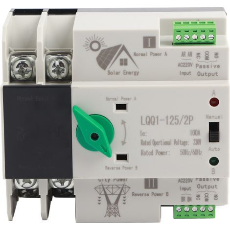 Automatischer 2-poliger Dual-Power-Umschalter, Millisekundenschaltung, Schnellregler AC 230 V 100 A für Haus-PV-Anlagen (1/5)