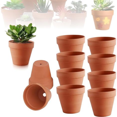 Petits Pots en Terre Cuite,12 Pièces 7 X 6 cm Mini Pots de Fleurs en Terre Cuite,Pot de Fleur Terre Cuite avec Trou de Drainage,Réutilisable Pot Terre Cuite pour Succulent,Cactus (1/5)