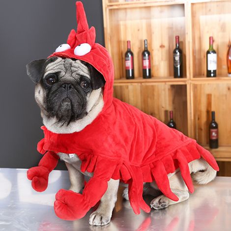 Disfraz de langosta para perro Teddy Pug, ropa roja de Halloween para mascotas, atuendo para juegos de rol para mascotas (1/5)
