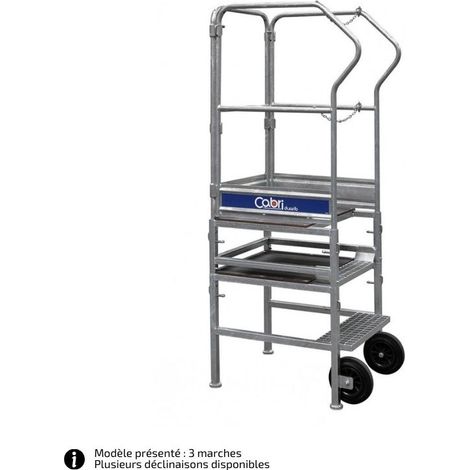 DUARIB GROUP - PIRL acier Cabri – 2 à 3 marches – Hauteur 0,55 à 0,8 m - Hauteur de plancher 0,55m (1/4)